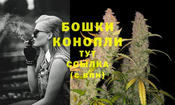 Альфа ПВП Болхов