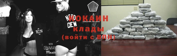 ГАЛЛЮЦИНОГЕННЫЕ ГРИБЫ Переславль-Залесский