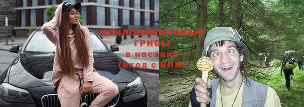 метадон Пестово