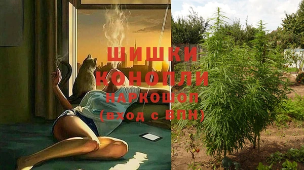 метадон Пестово