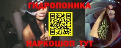 стаф Абакан
