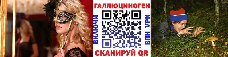 что такое   Азнакаево  Псилоцибиновые грибы GOLDEN TEACHER 
