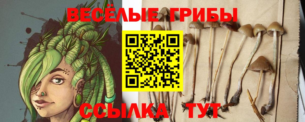 Азнакаево  Псилоцибиновые грибы Cubensis  дарнет шоп  Вход с VPN 