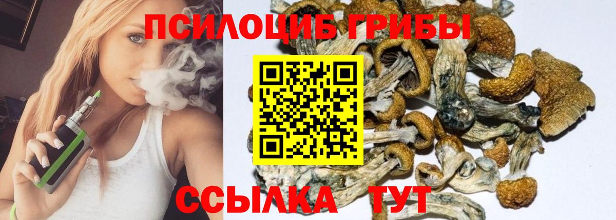 Галлюциногенные грибы GOLDEN TEACHER Азнакаево