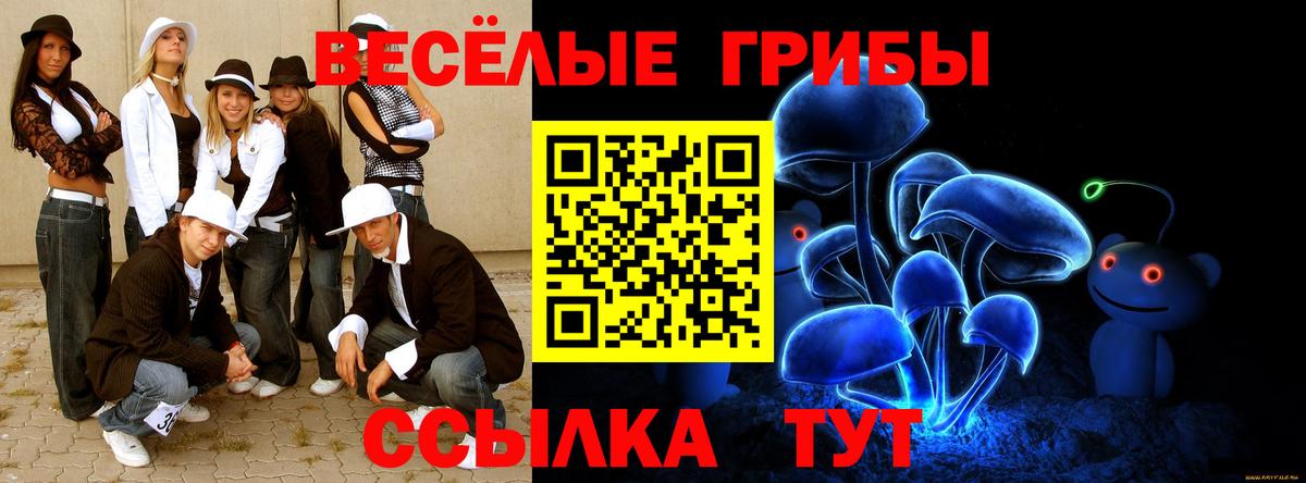 Азнакаево  Псилоцибиновые грибы Psilocybine cubensis  Вход с VPN 